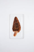 StigerWoods wooden tile Morel