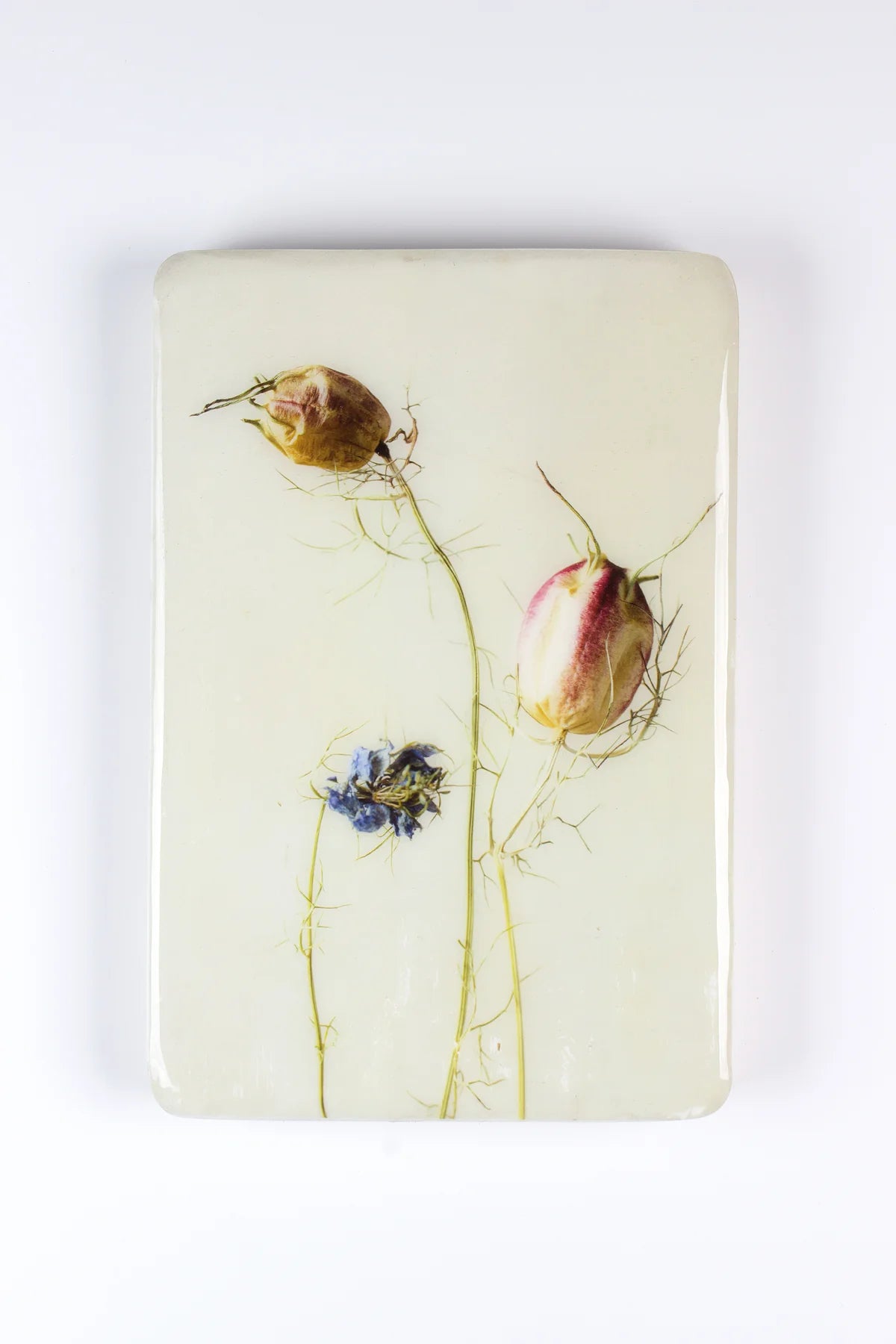 StigerWoods wooden tile Nigella