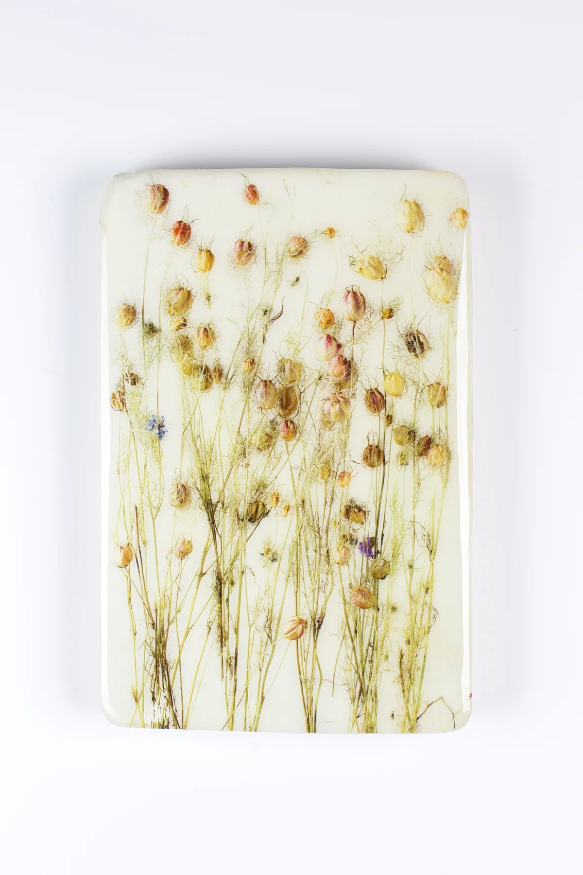 StigerWoods wooden tile Nigella
