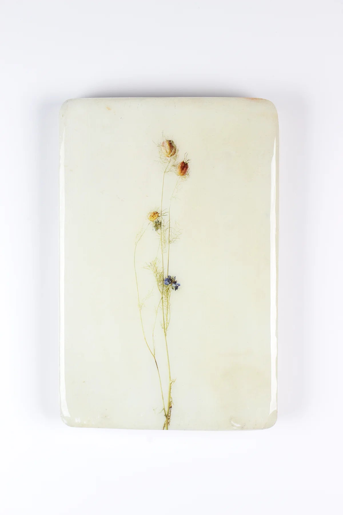 StigerWoods wooden tile Nigella
