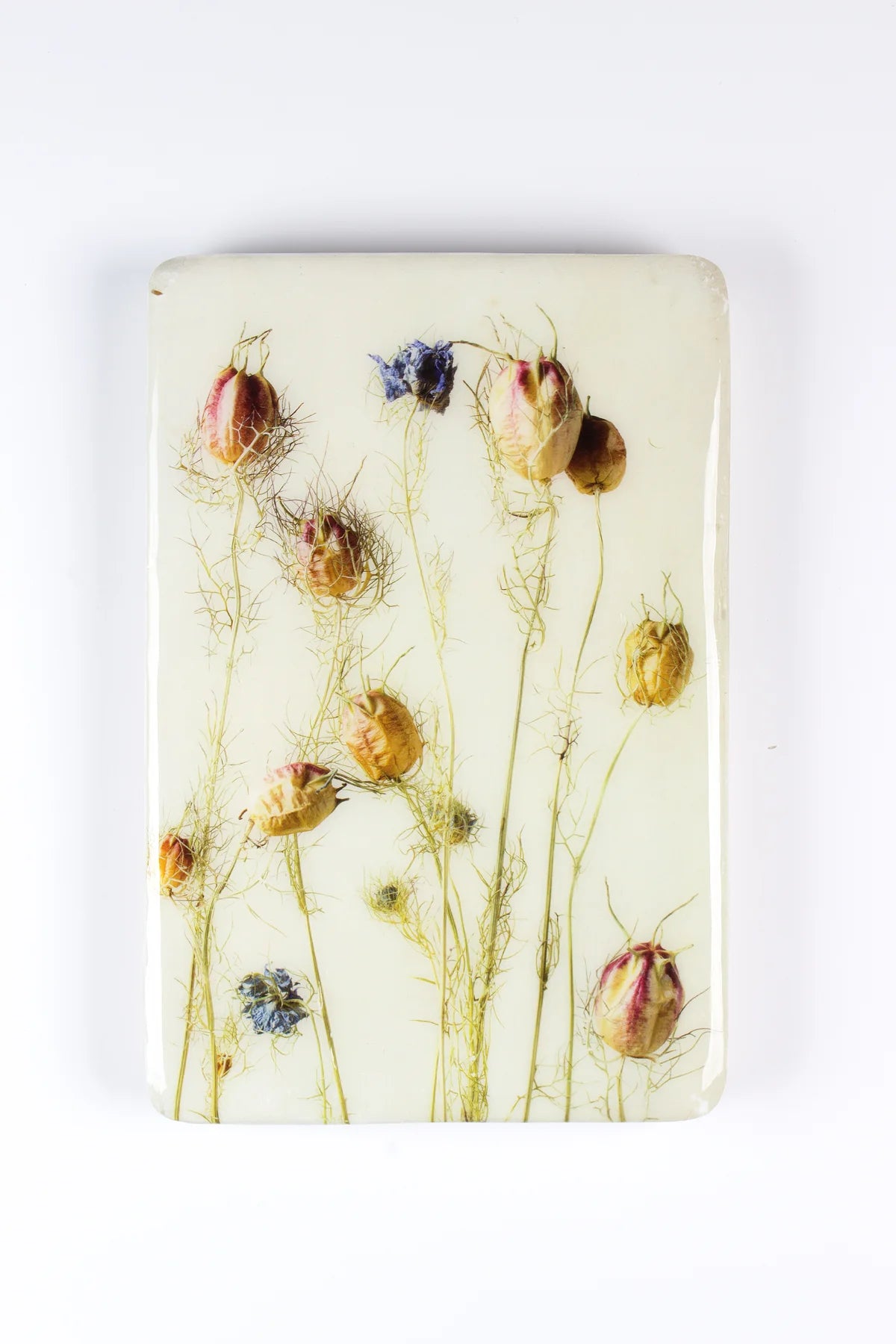 StigerWoods wooden tile Nigella