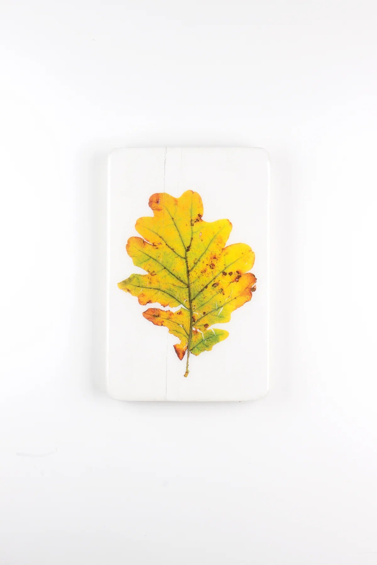 StigerWoods wooden tile Oak Leaf