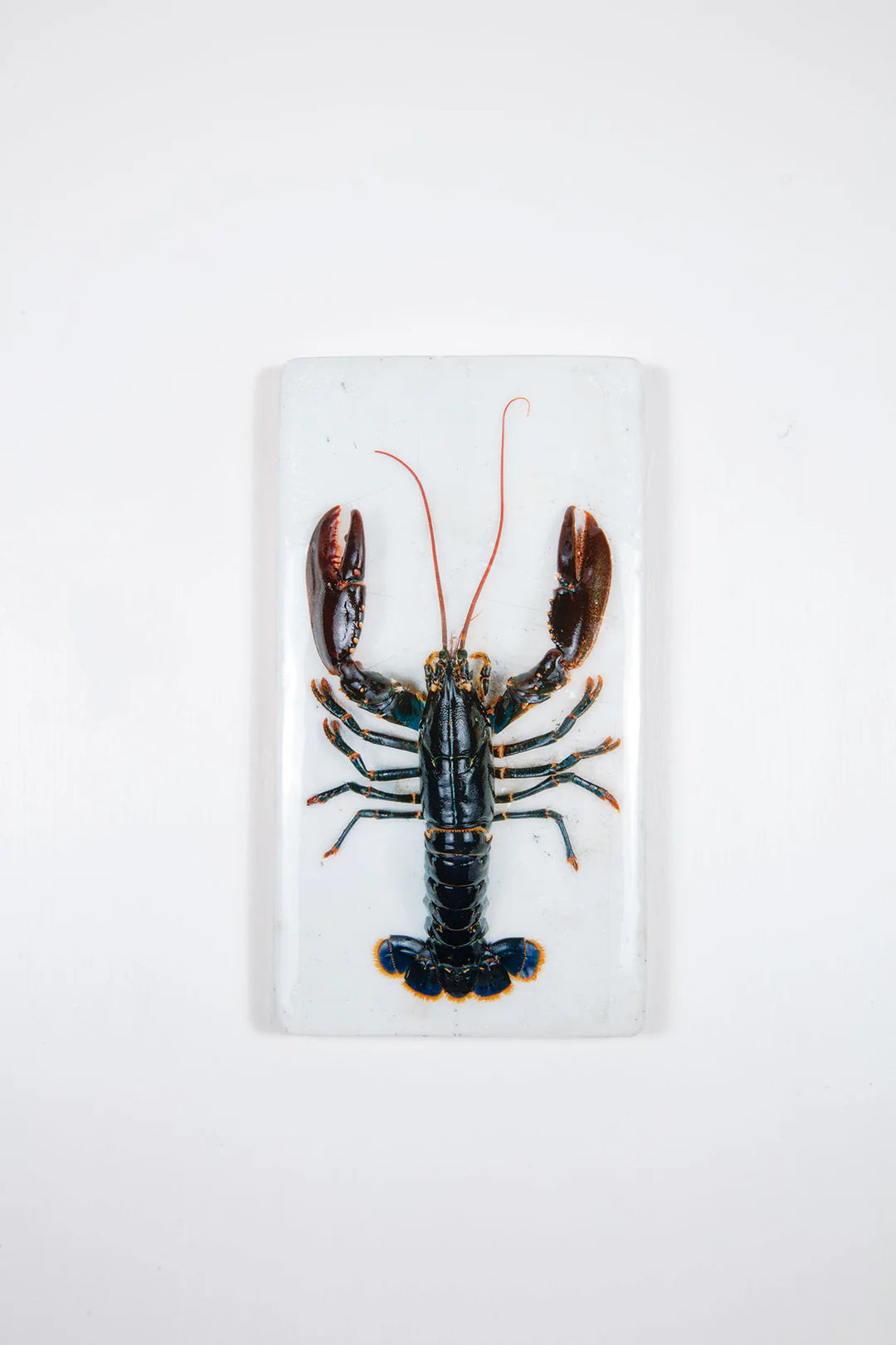 StigerWoods wooden tile Oosterschelde Lobster on White Table