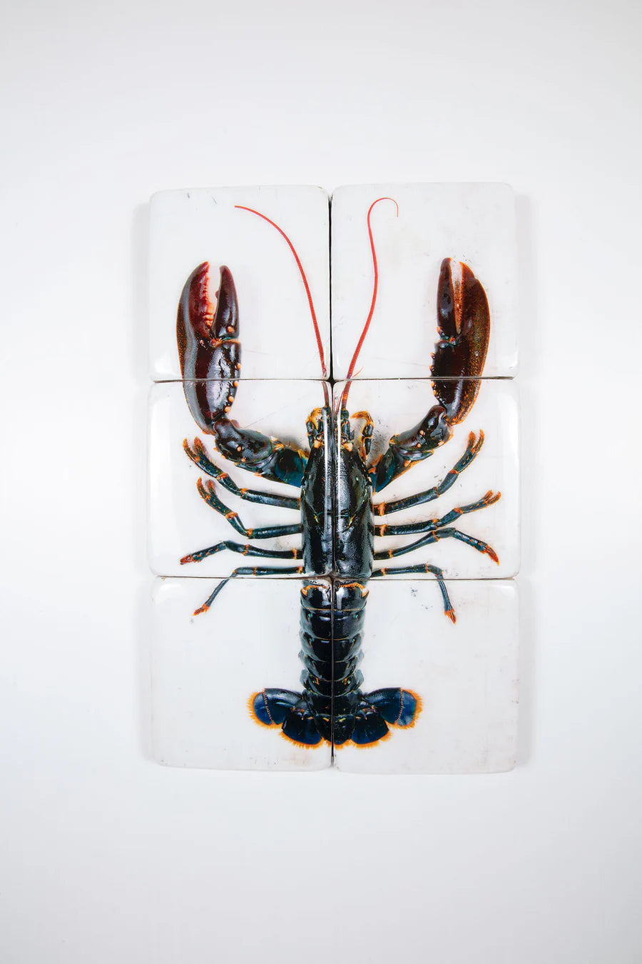 StigerWoods wooden tile Oosterschelde Lobster on White Table
