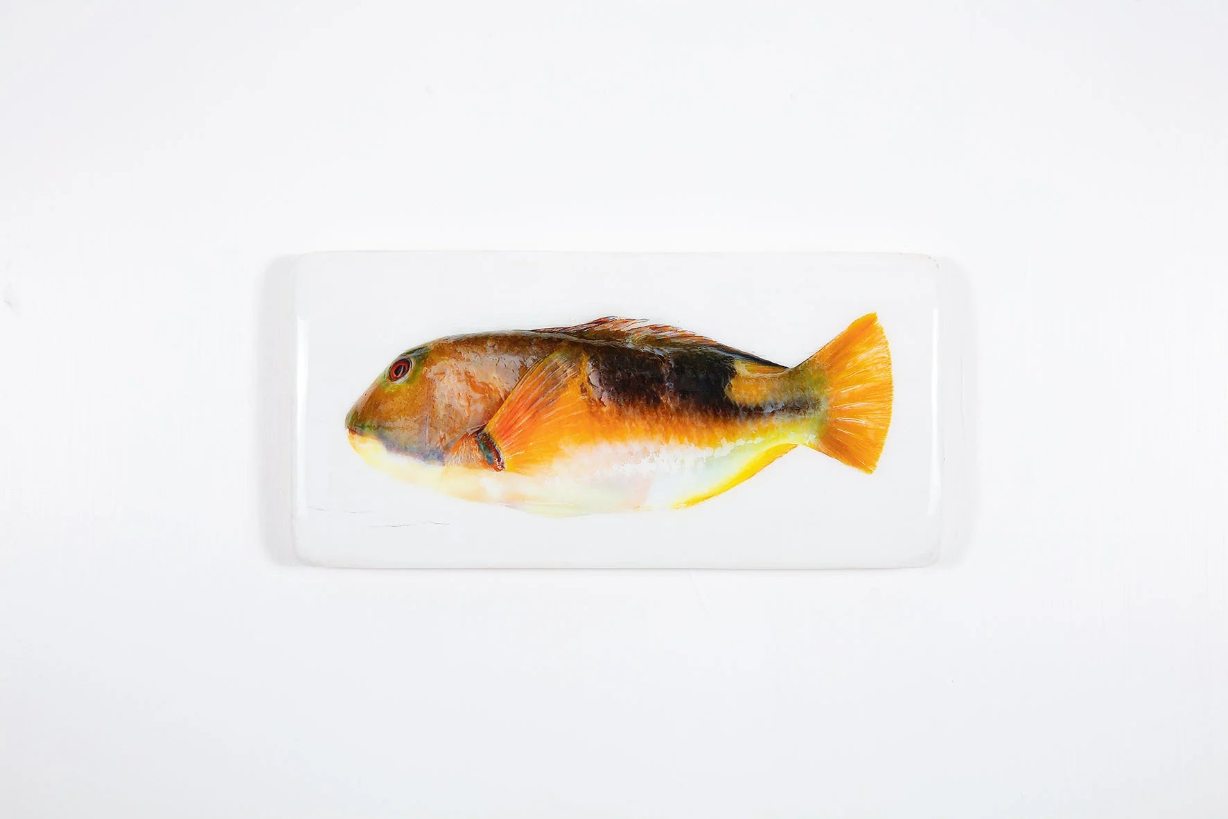 StigerWoods wooden tile Orange Parrot Fish