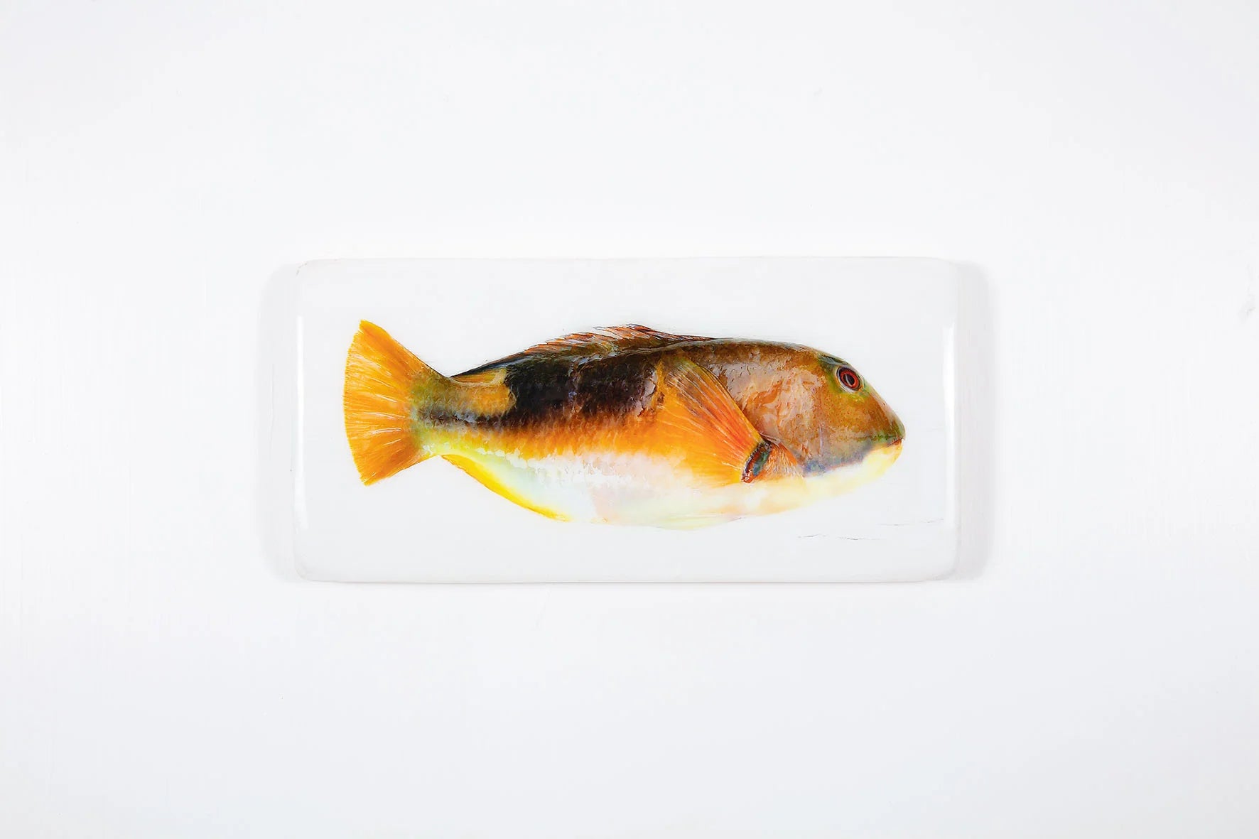 StigerWoods wooden tile Orange Parrot Fish