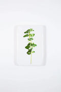 StigerWoods wooden tile Oregano