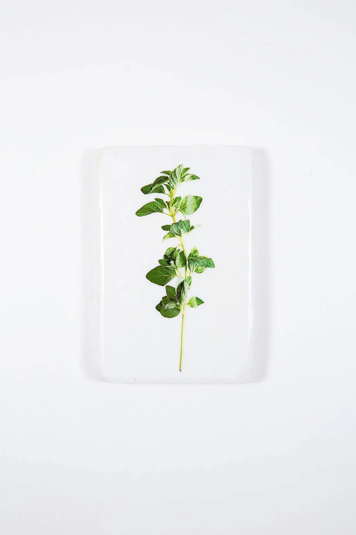 StigerWoods wooden tile Oregano