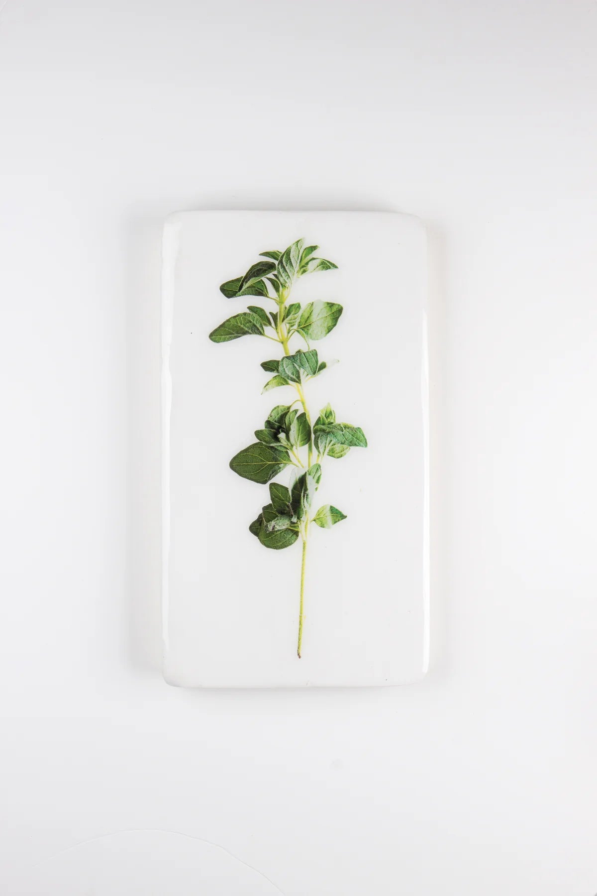 StigerWoods wooden tile Oregano