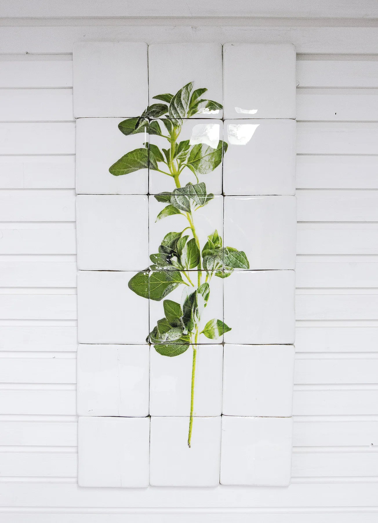 StigerWoods wooden tile Oregano