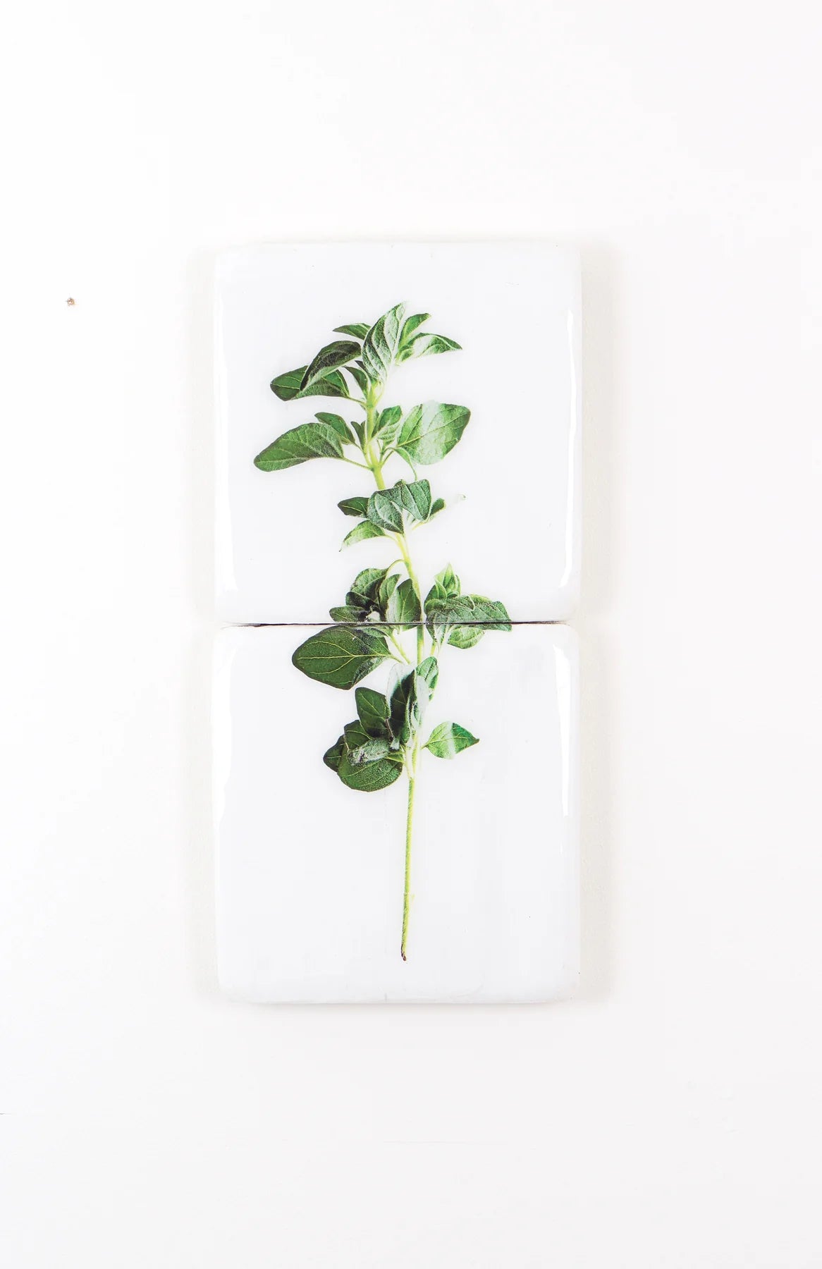 StigerWoods wooden tile Oregano