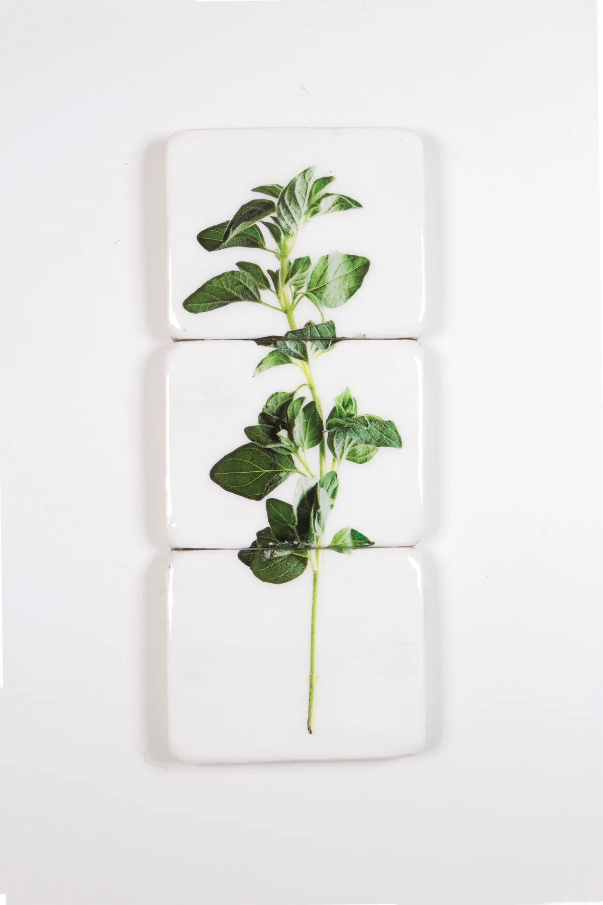 StigerWoods wooden tile Oregano