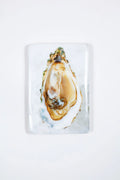 StigerWoods wooden tile Oyster