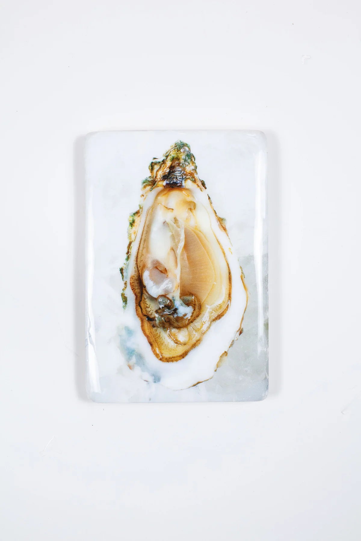 StigerWoods wooden tile Oyster