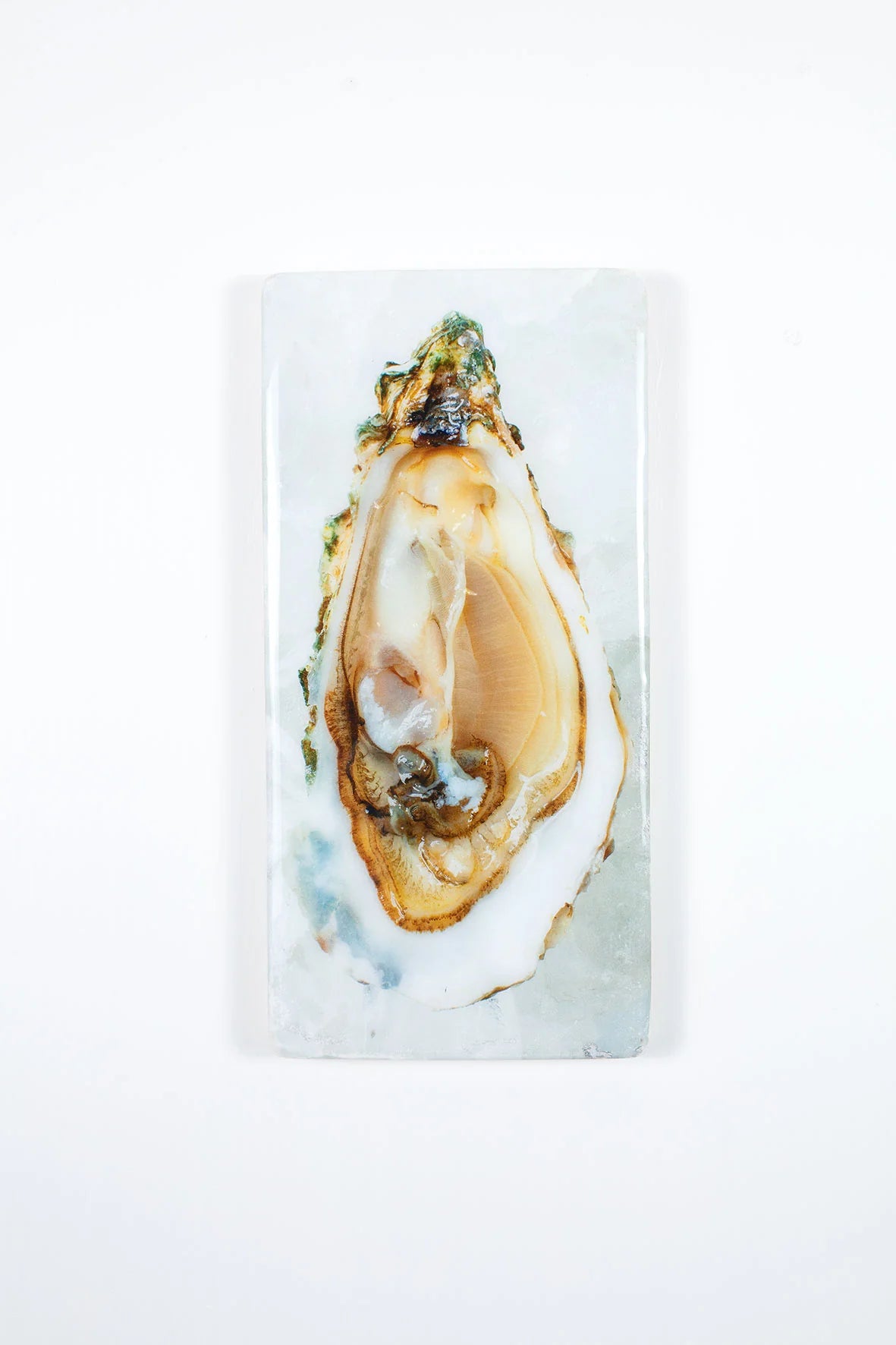 StigerWoods wooden tile Oyster