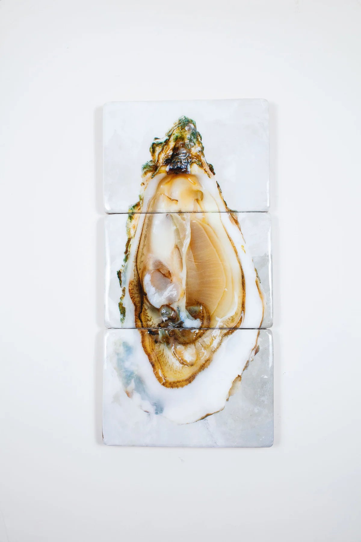 StigerWoods wooden tile Oyster