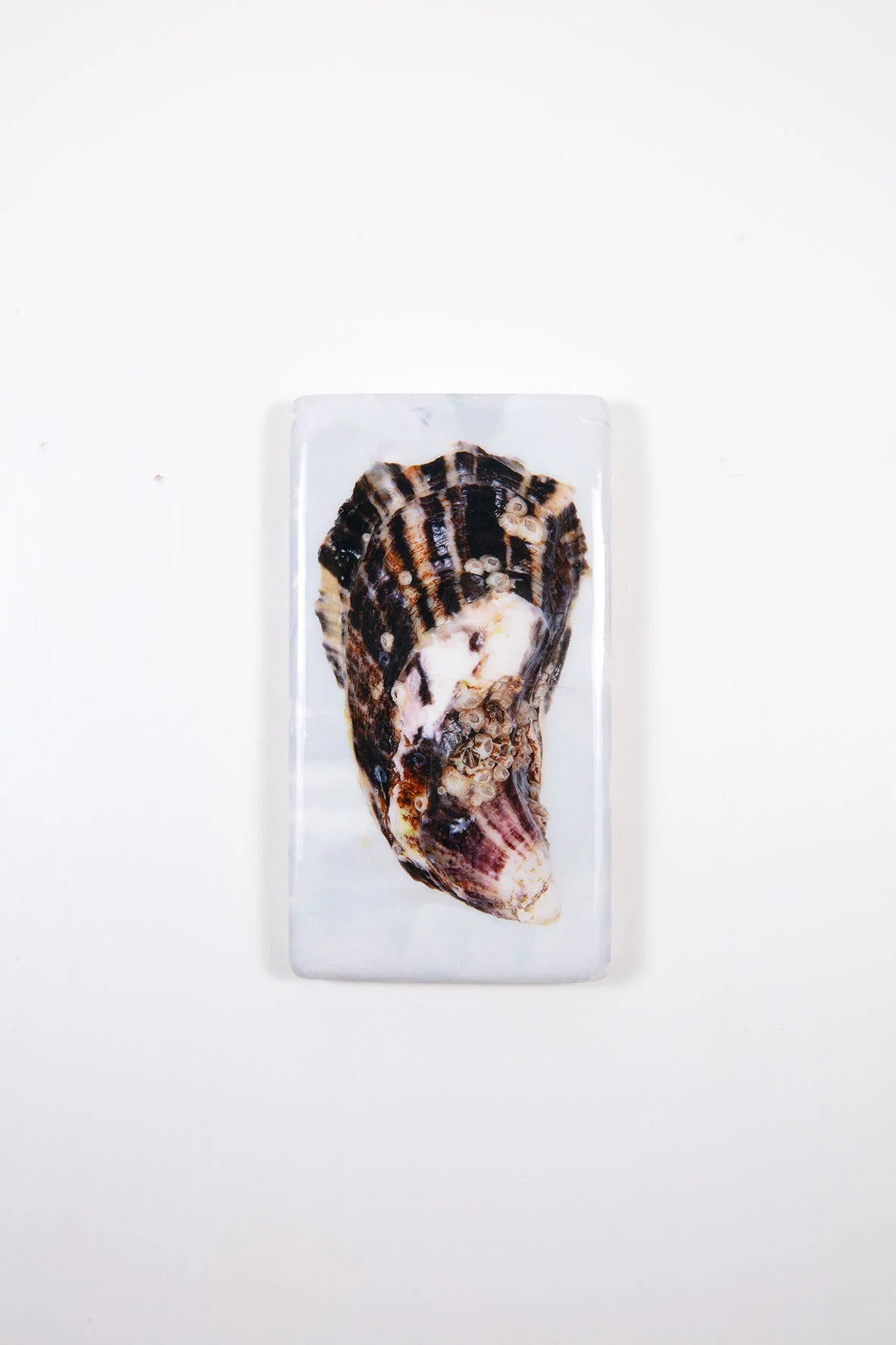 StigerWoods wooden tile Oyster Shell