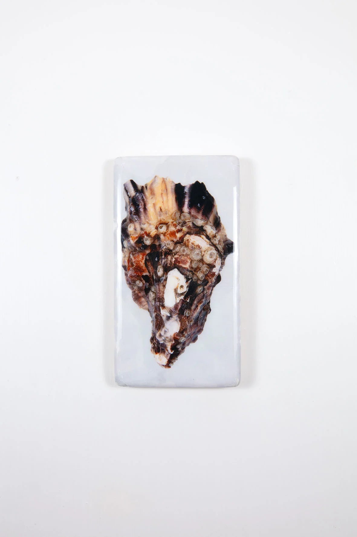 StigerWoods wooden tile Oyster Shell