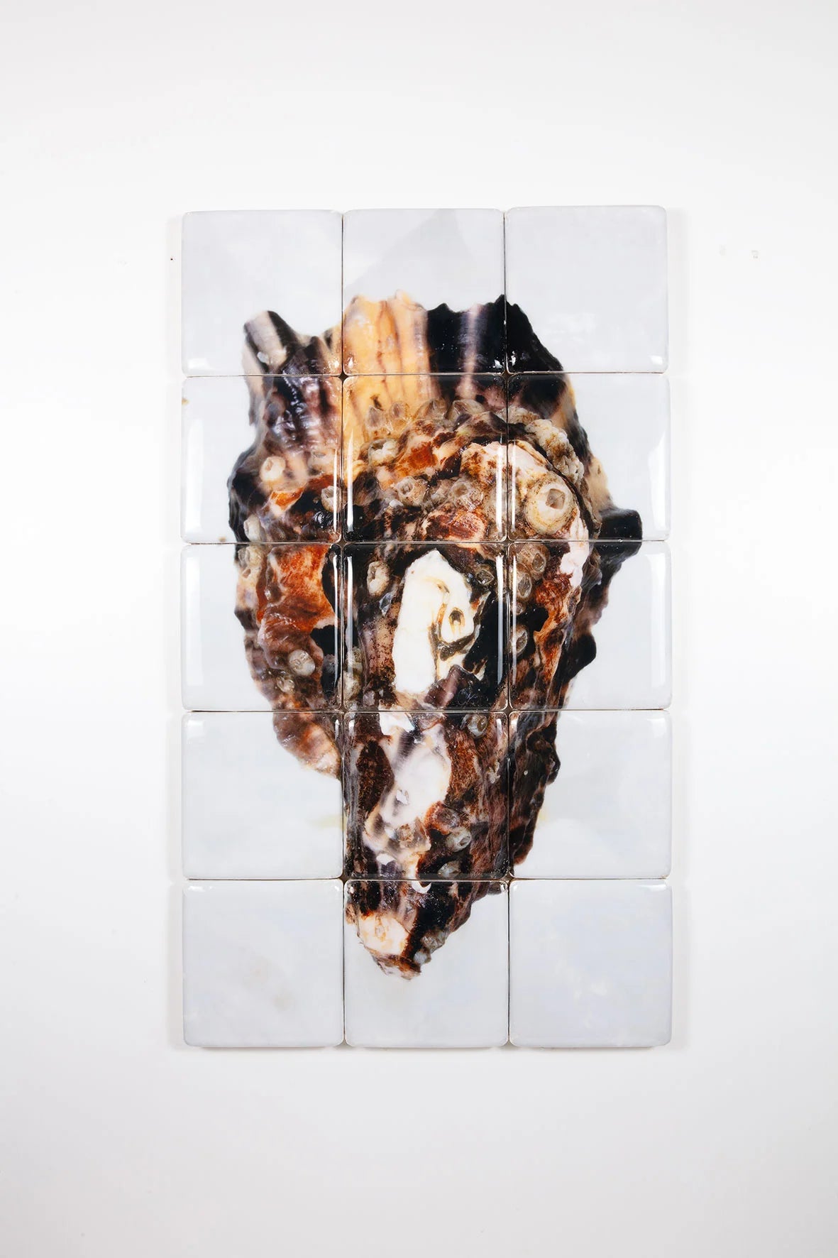 StigerWoods wooden tile Oyster Shell