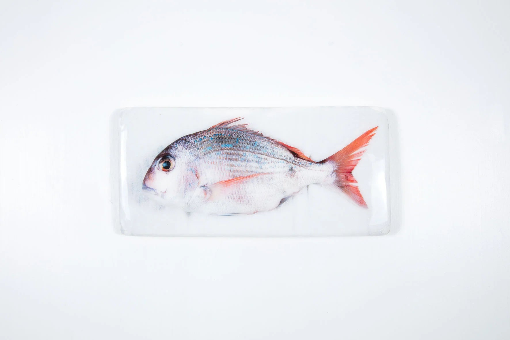 StigerWoods wooden tile Pargo