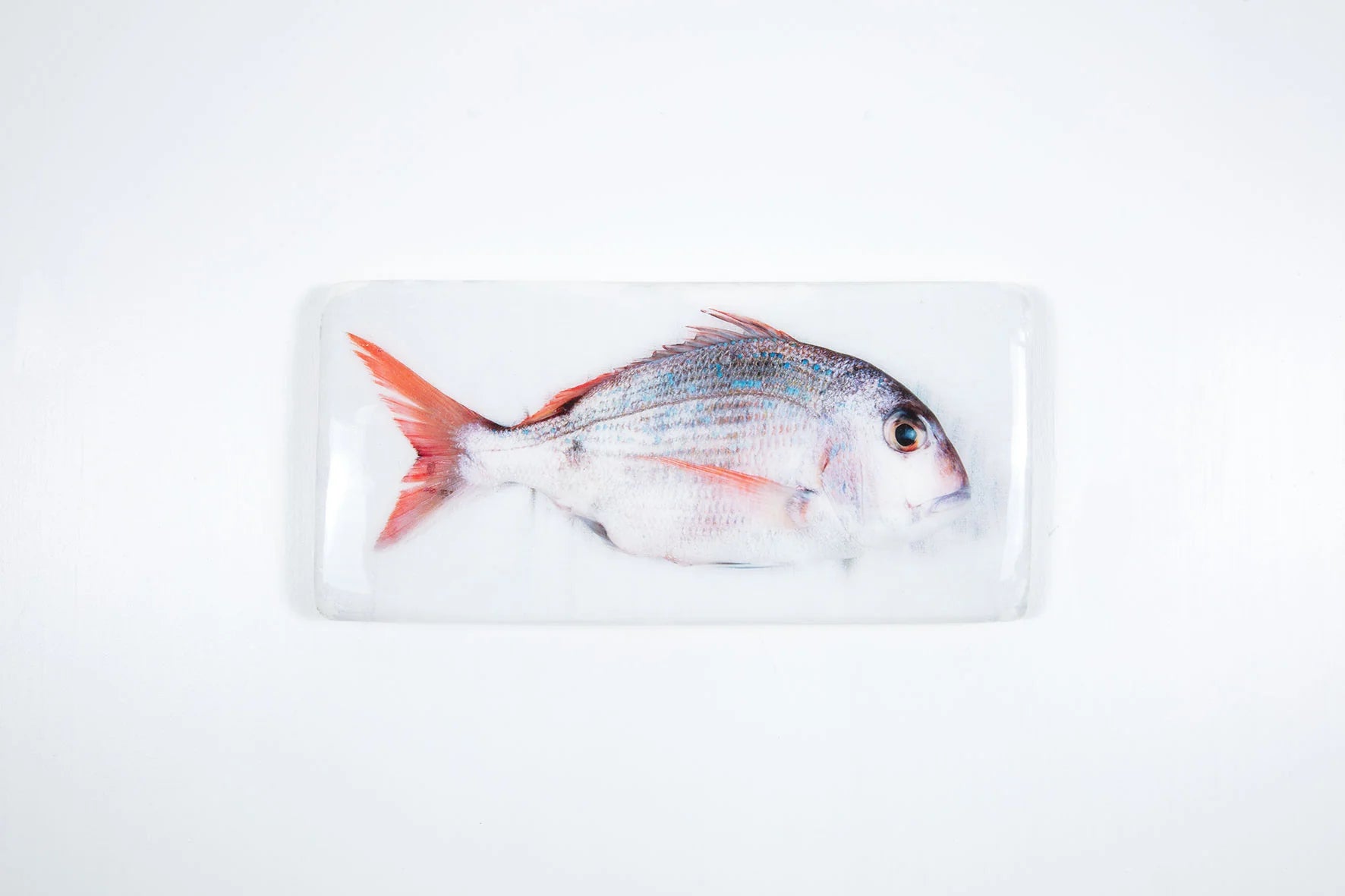 StigerWoods wooden tile Pargo