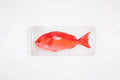 StigerWoods wooden tile Pinjalo Red Snapper