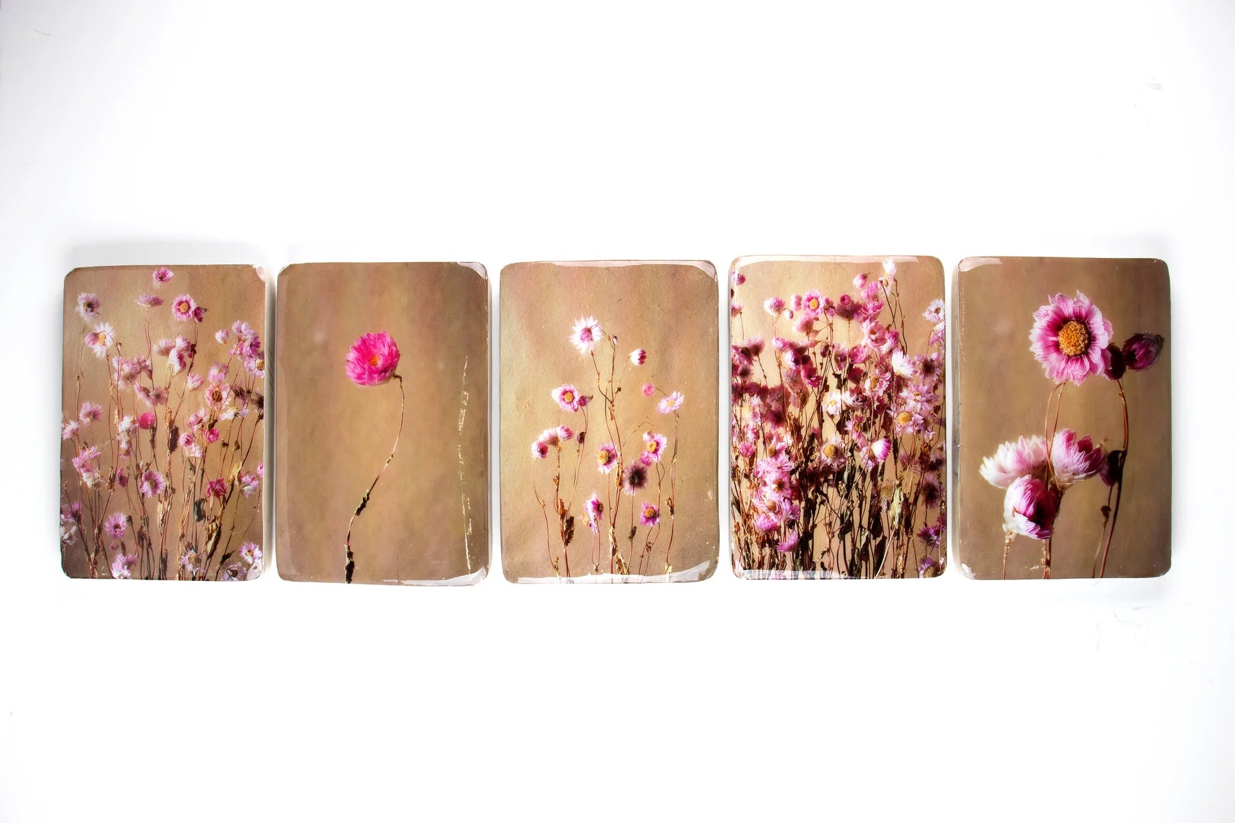 StigerWoods wooden tile Pink Rhodanthe