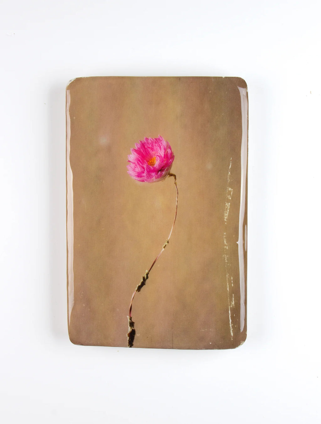StigerWoods wooden tile Pink Rhodanthe