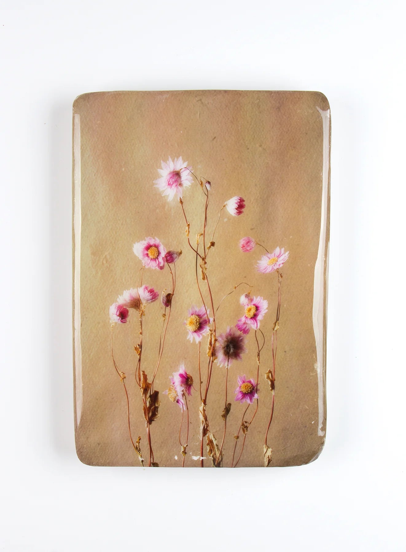 StigerWoods wooden tile Pink Rhodanthe