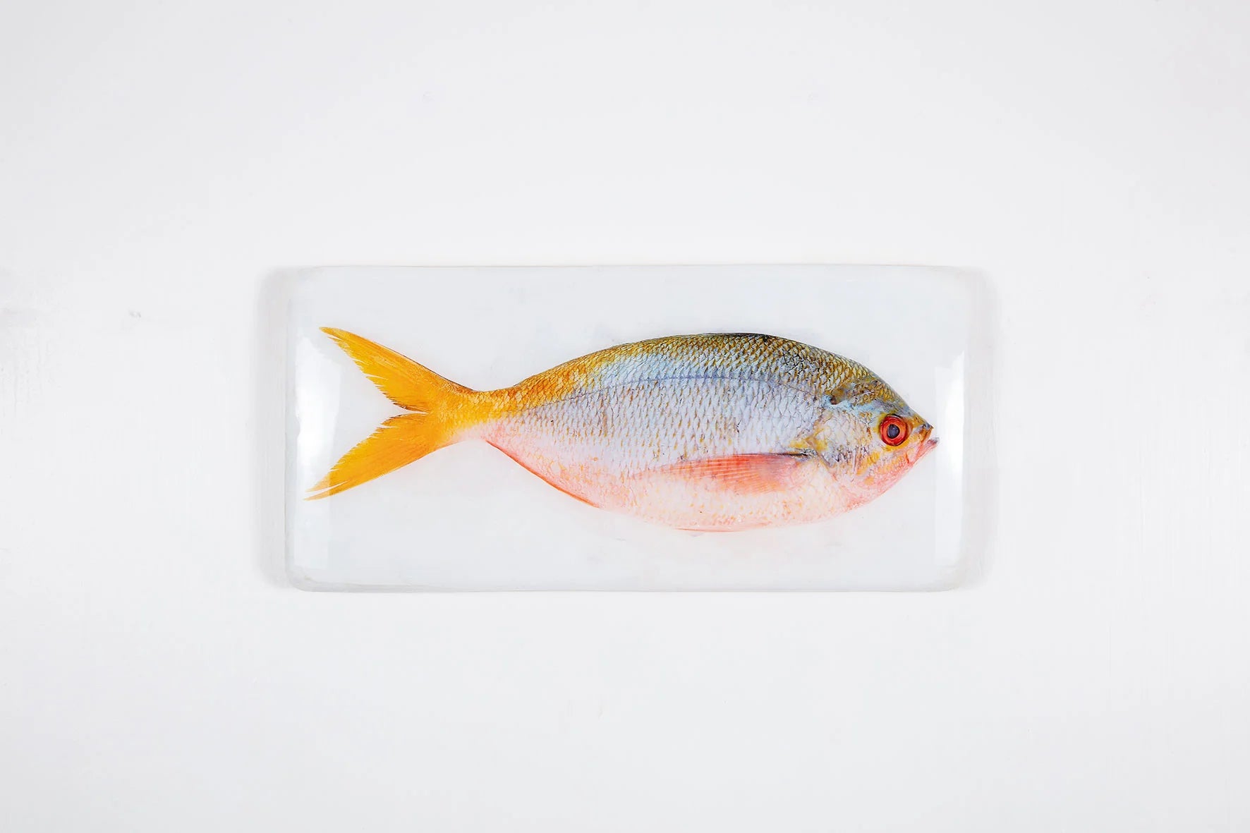 StigerWoods wooden tile Pink Yellowtail Fusilier