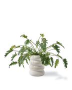 Pols Potten Chubby Bloempot