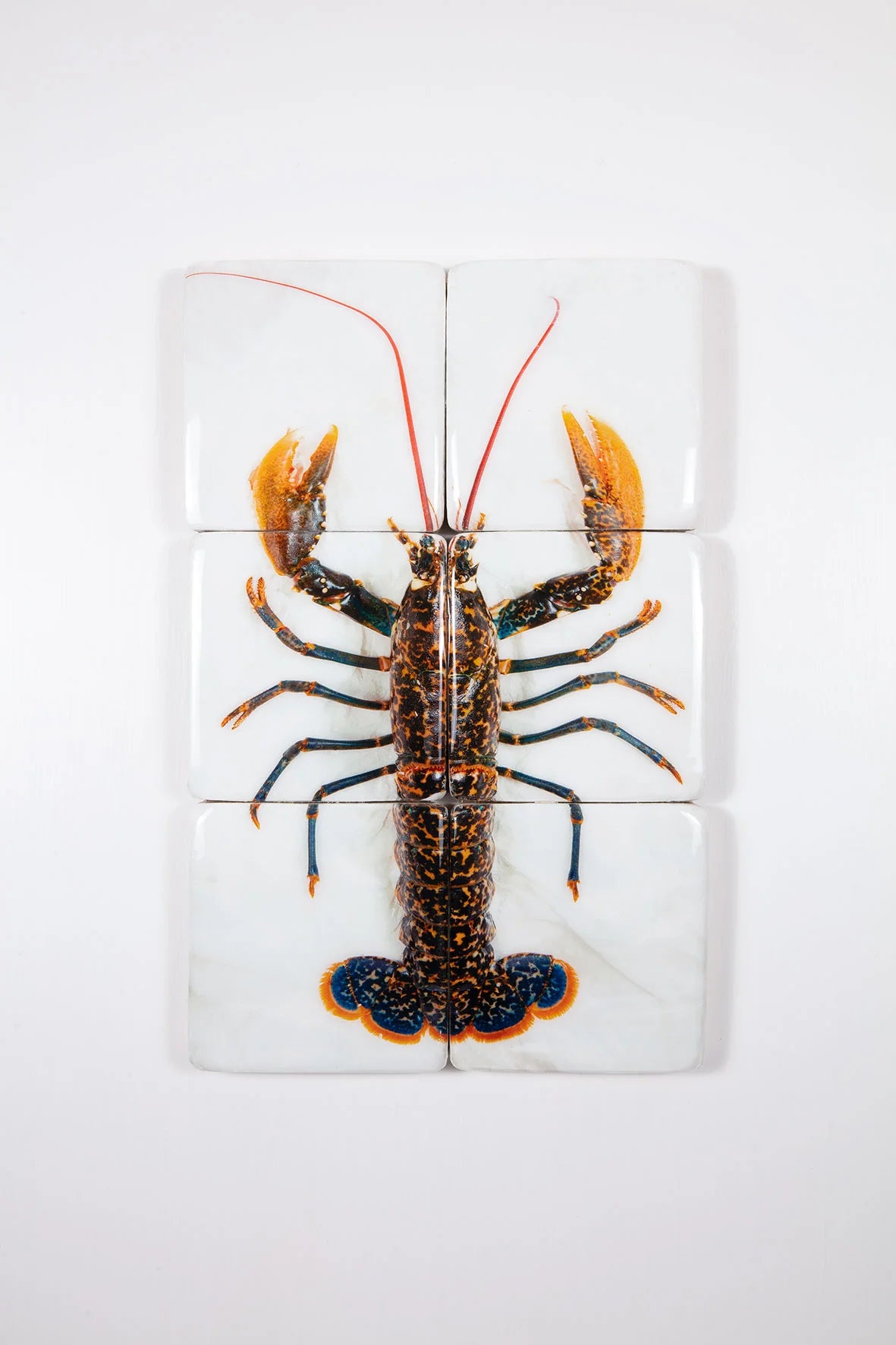 StigerWoods wooden tile Portuguese Lobster