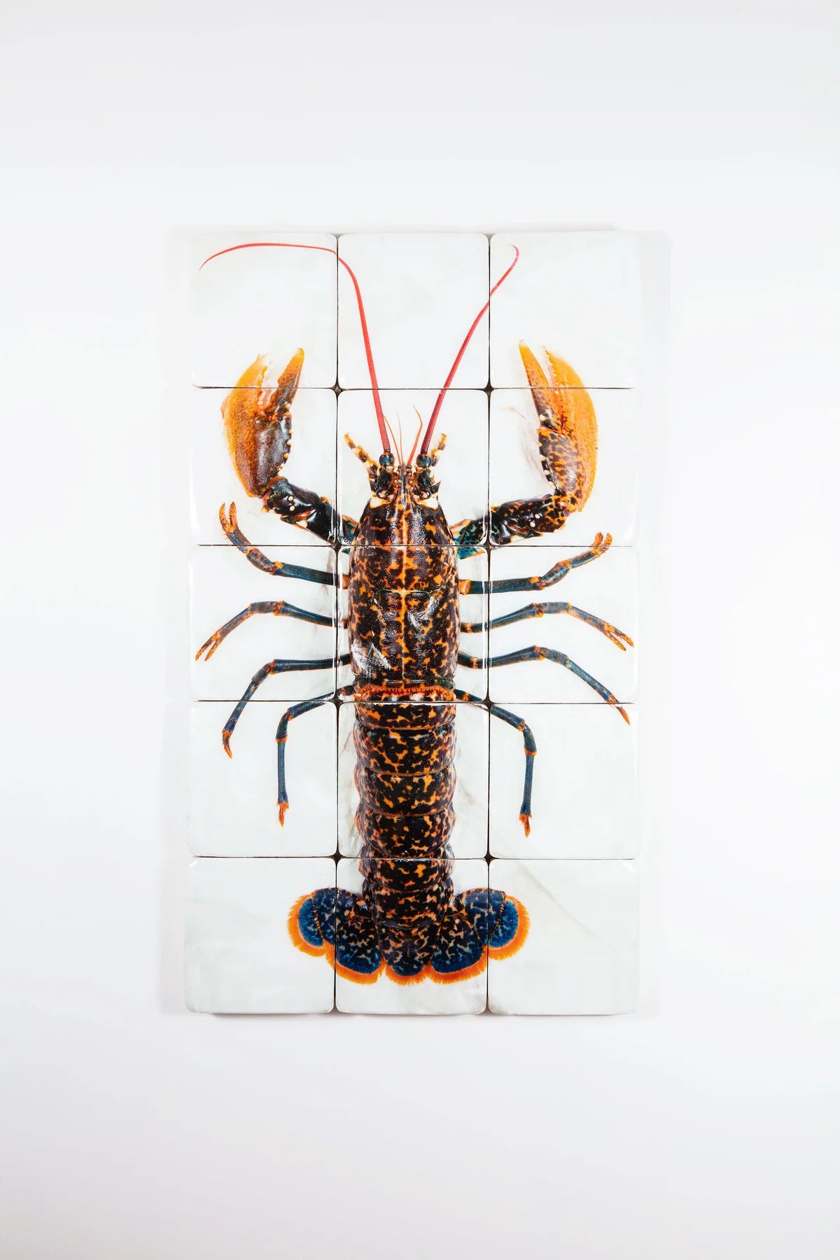 StigerWoods wooden tile Portuguese Lobster