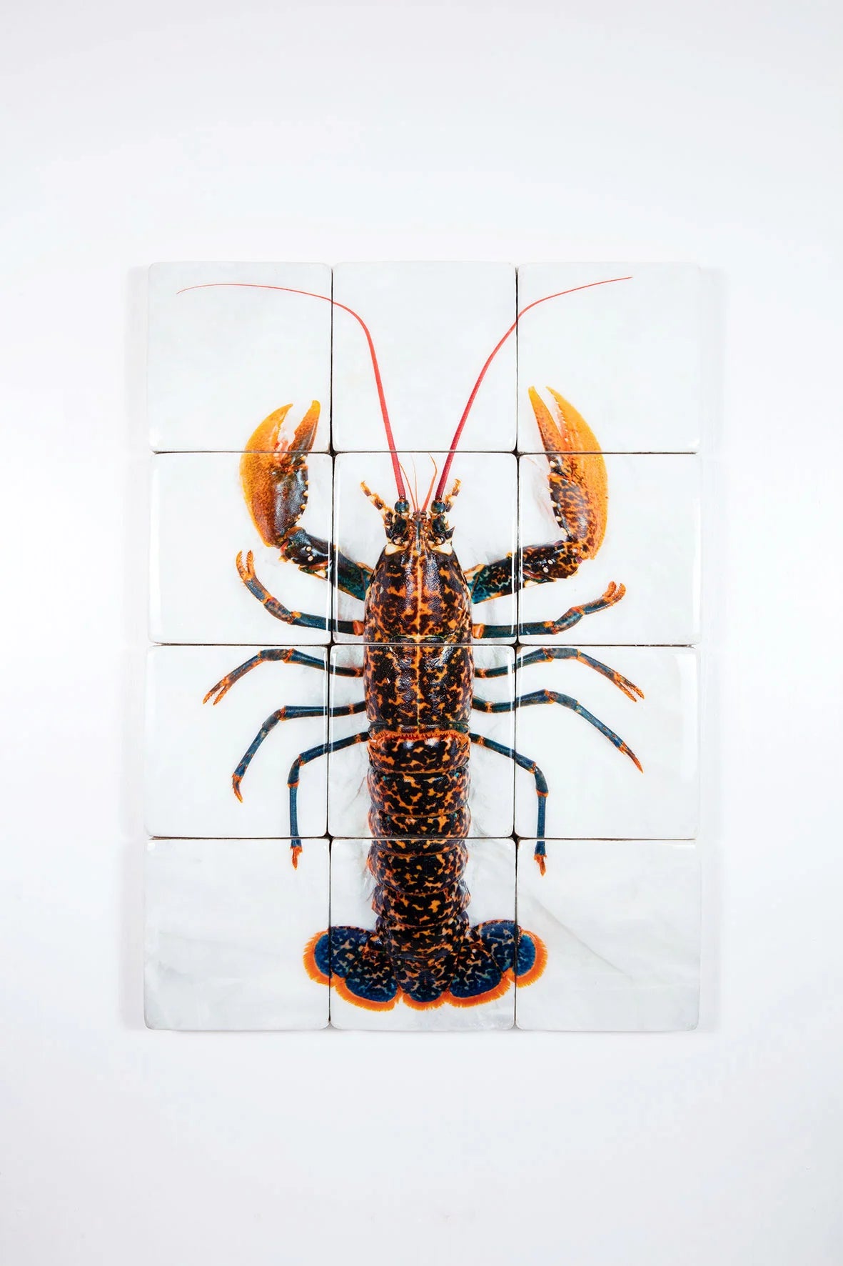 StigerWoods wooden tile Portuguese Lobster