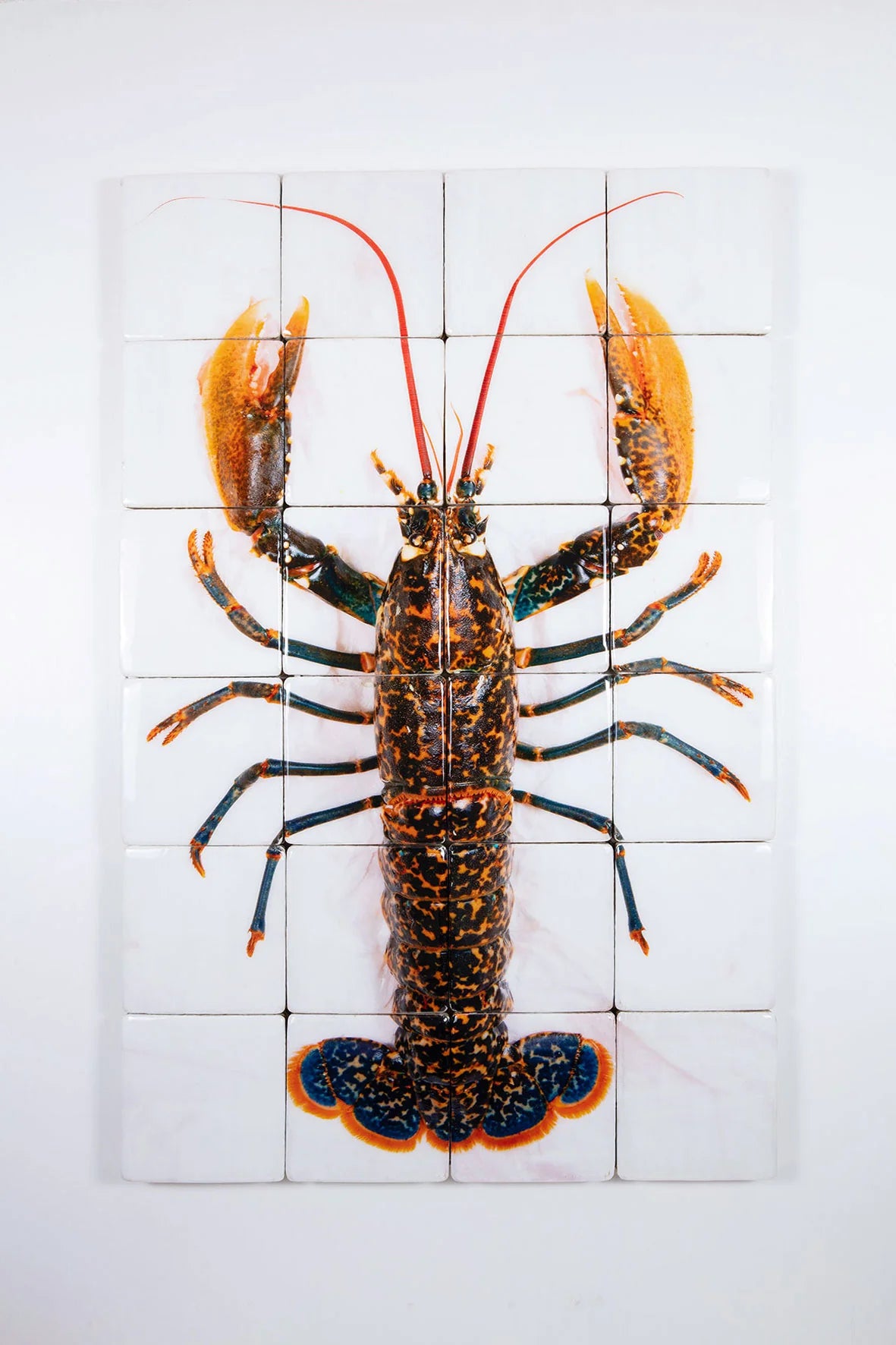 StigerWoods wooden tile Portuguese Lobster