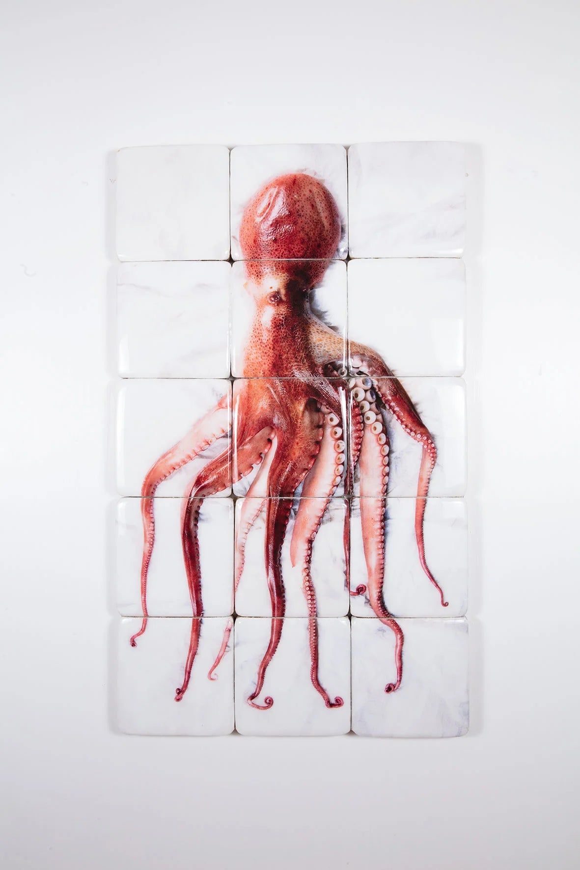 StigerWoods wooden tile Portuguese Pulpo