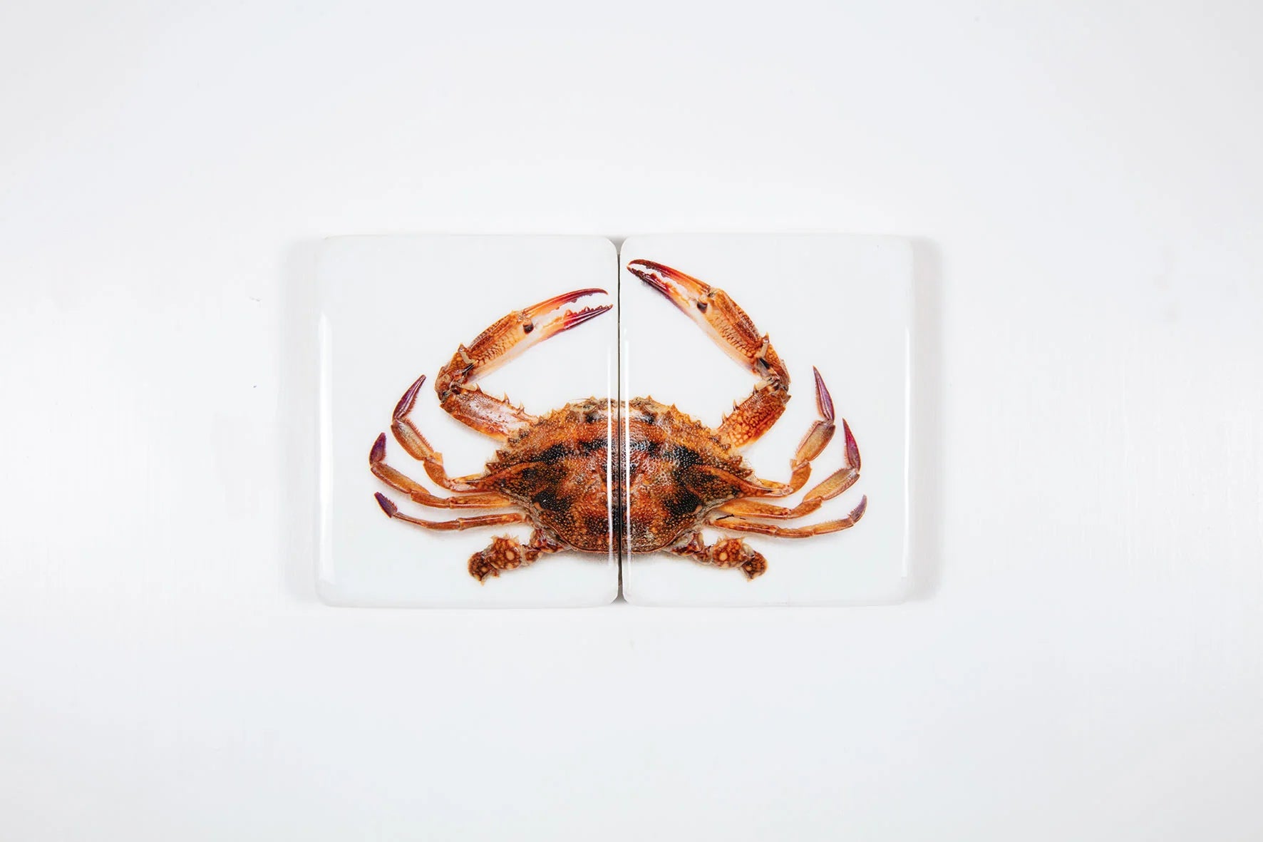 StigerWoods wooden tile Portuguese Tiger Crab