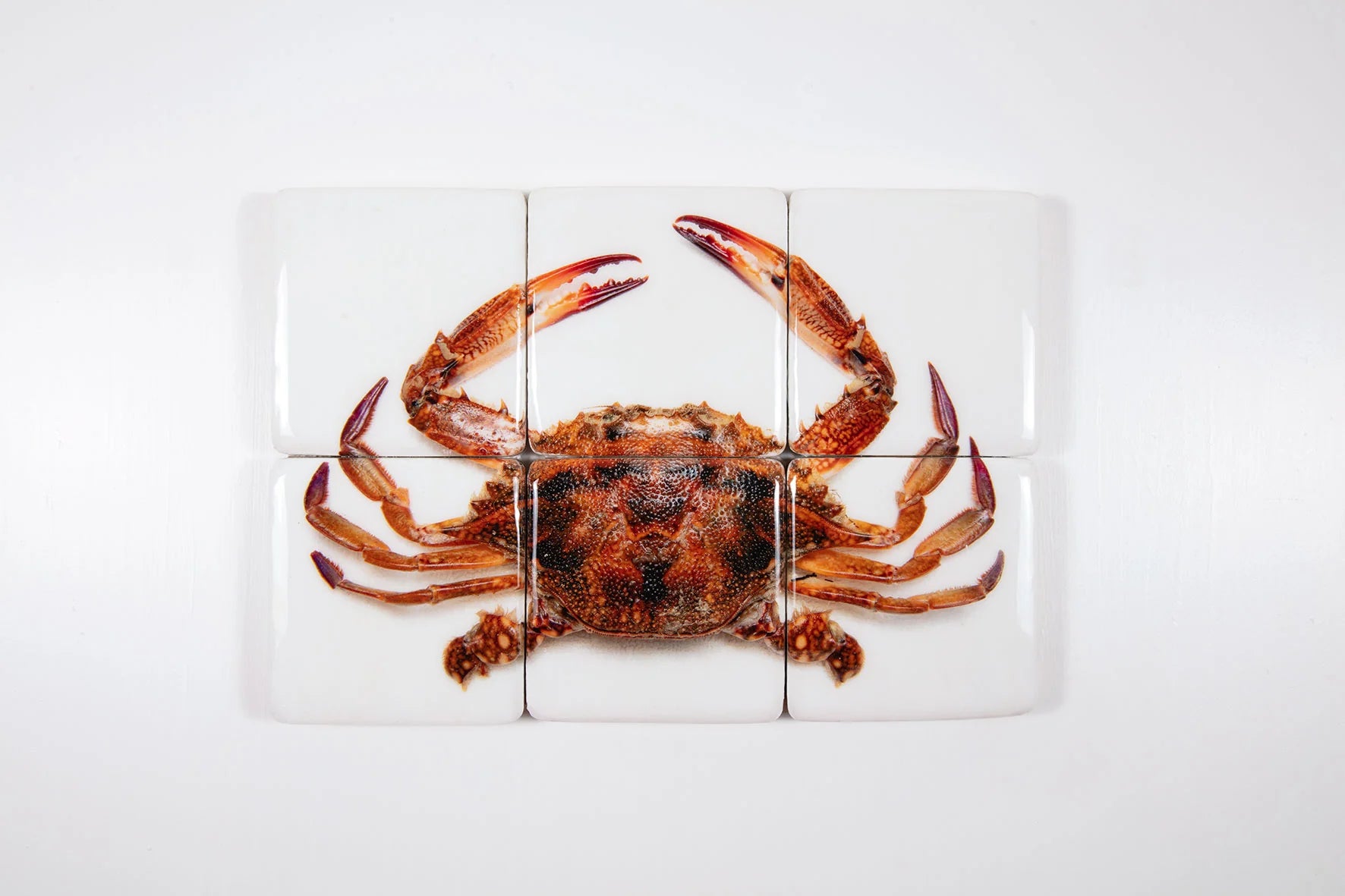 StigerWoods wooden tile Portuguese Tiger Crab