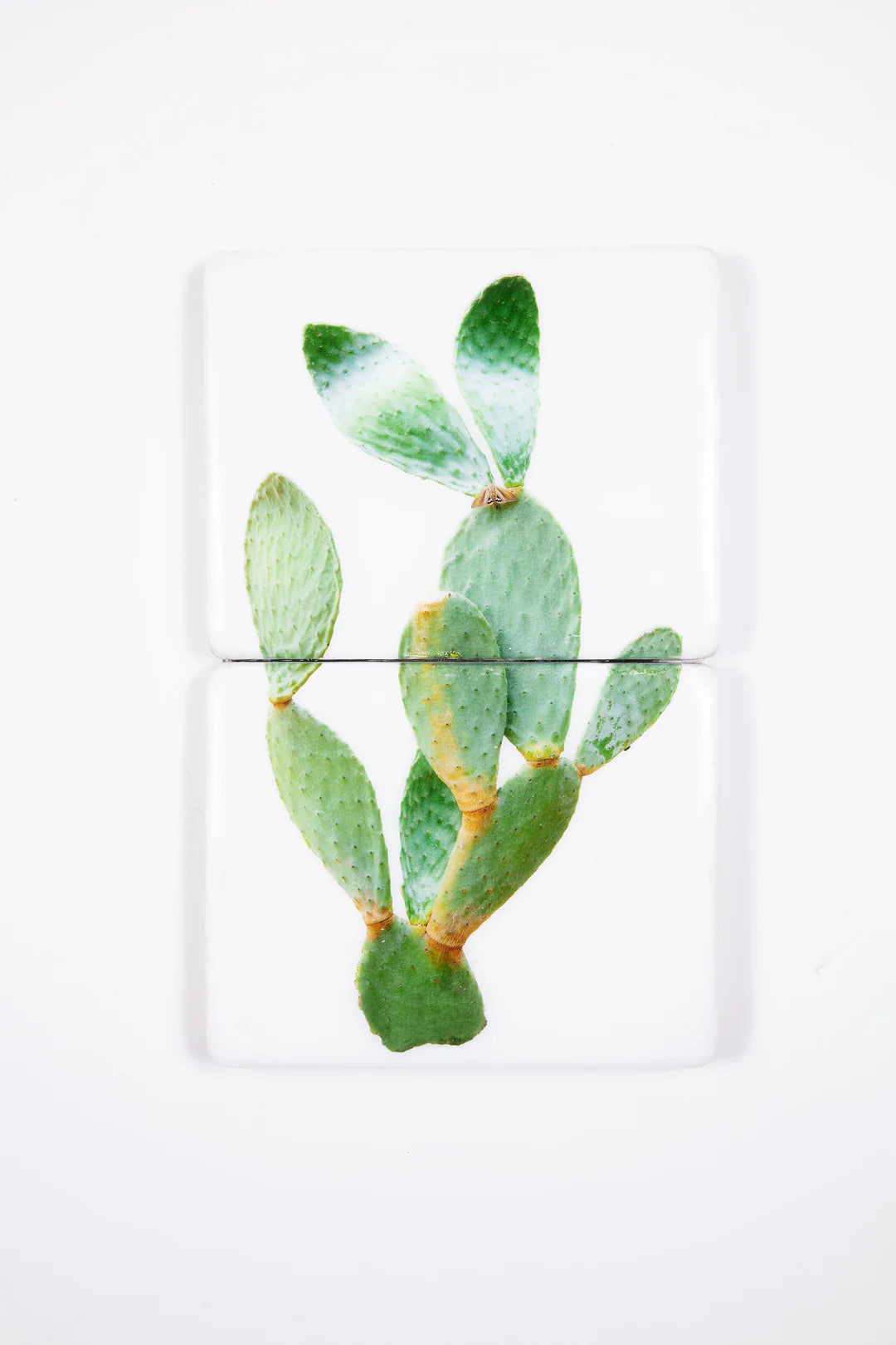 StigerWoods wooden tile Mallorcian Cactus