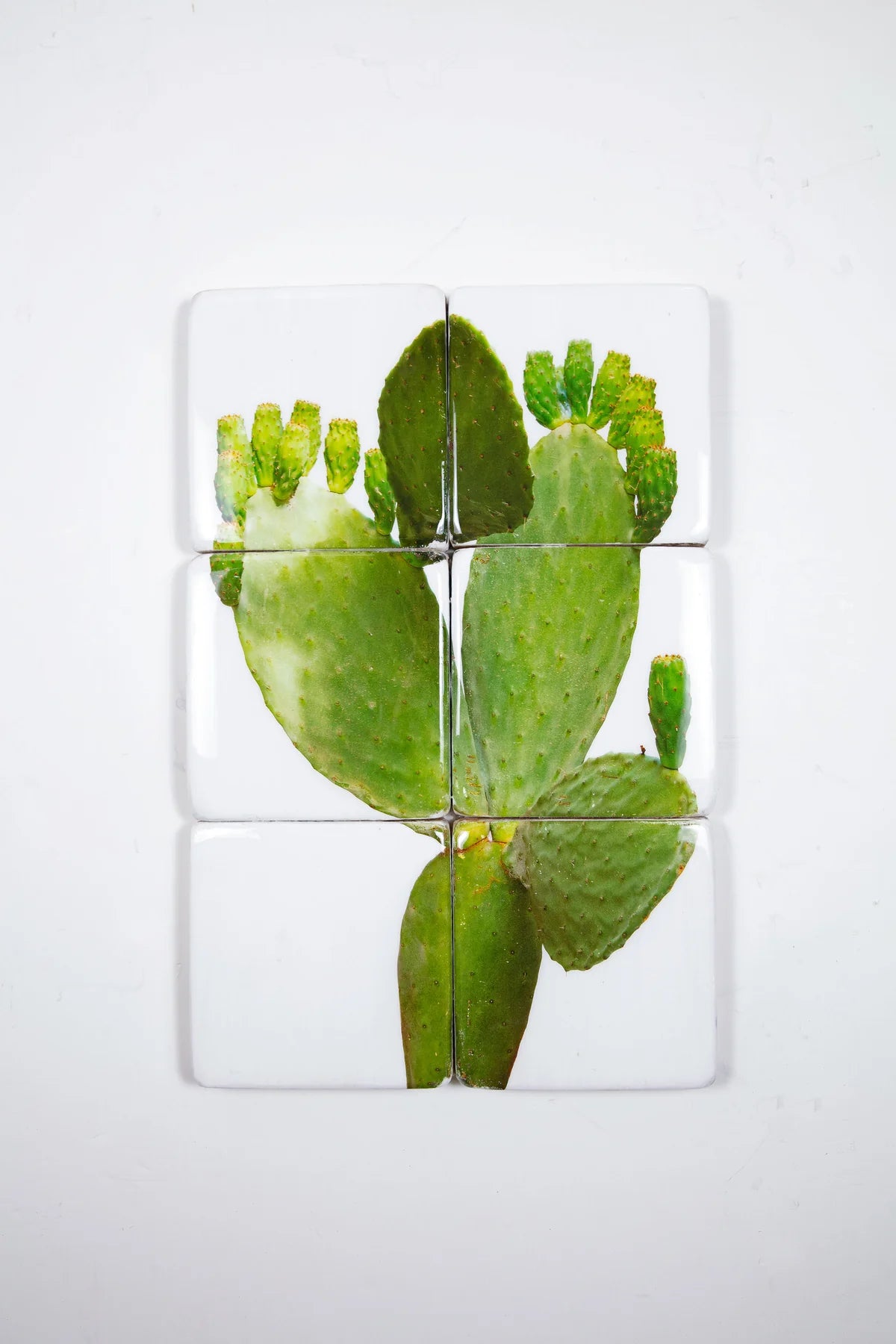 StigerWoods wooden tile Prickly Pear Cactus