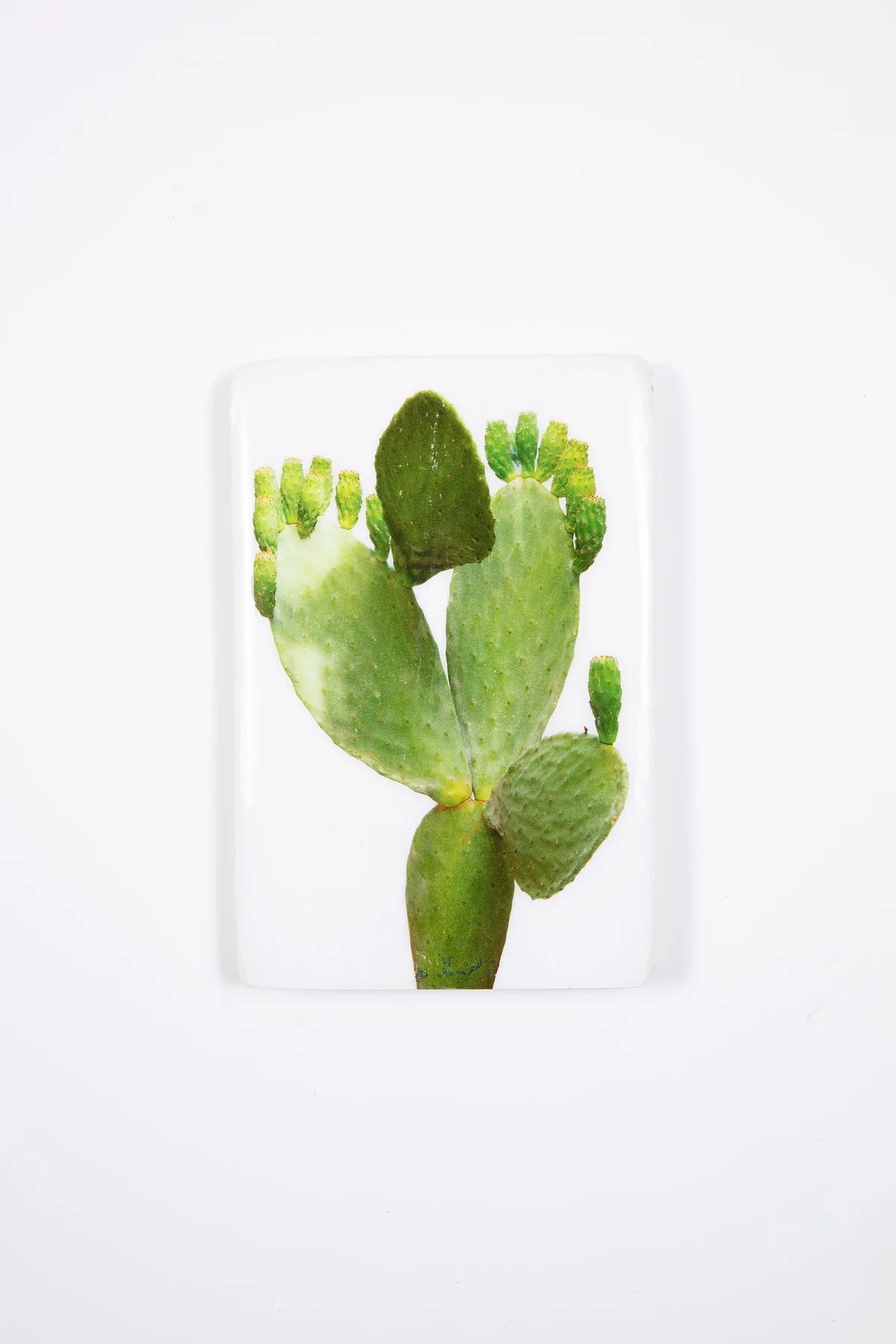 StigerWoods wooden tile Prickly Pear Cactus