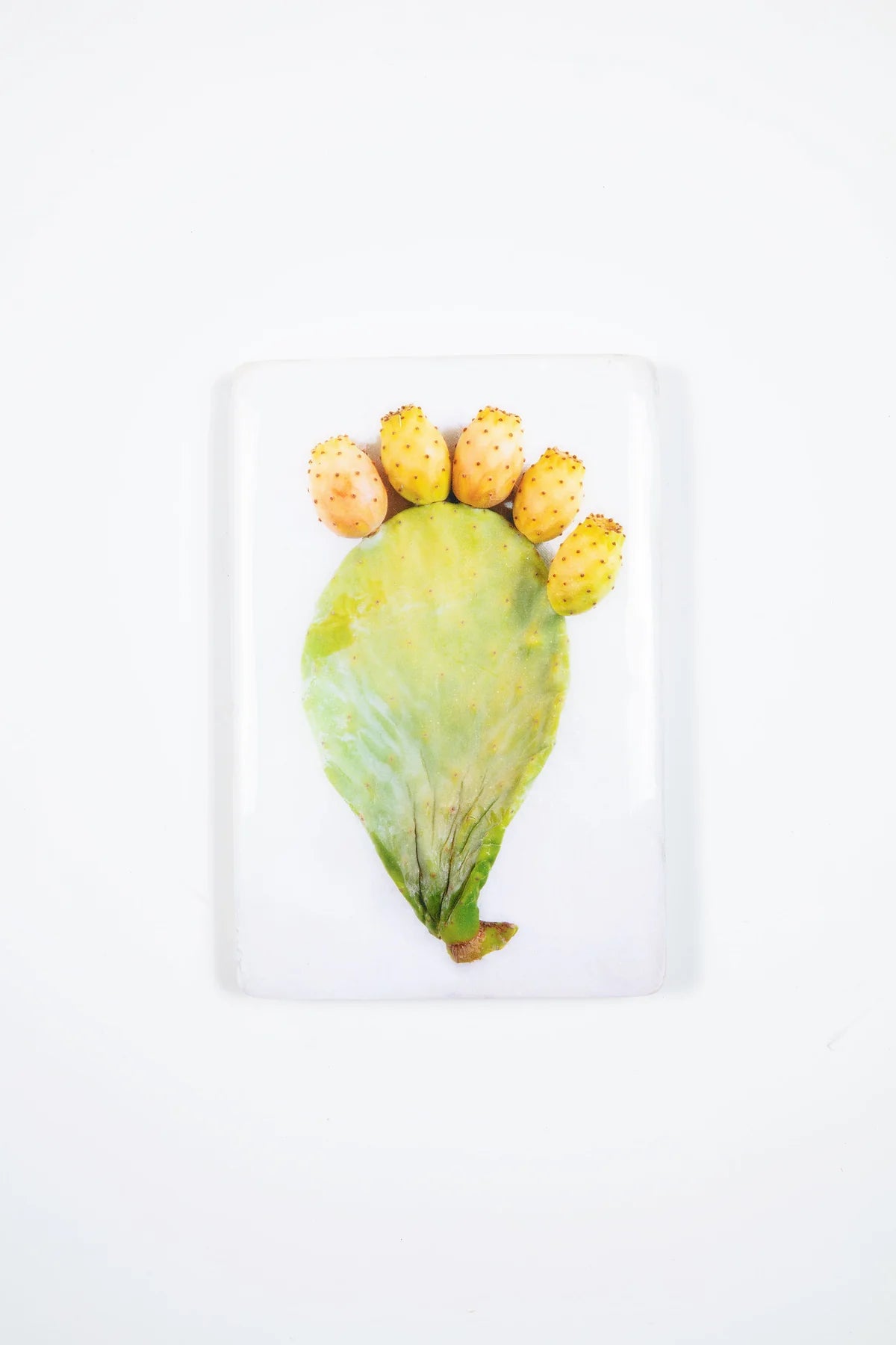 StigerWoods wooden tile Prickly Pear Leaf