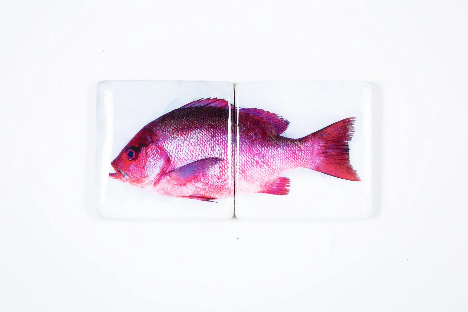 StigerWoods wooden tile Purple Snapper