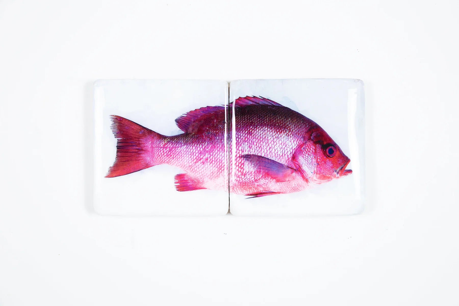 StigerWoods wooden tile Purple Snapper