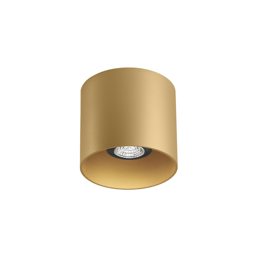 Wever & Ducré RAY opbouwspot
