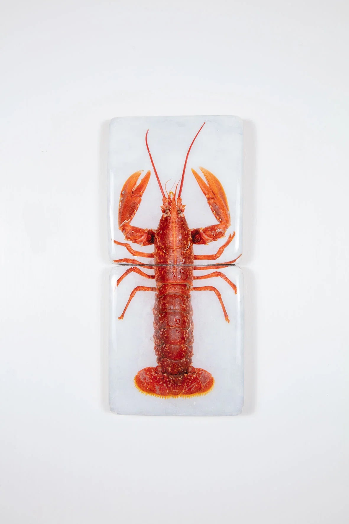 StigerWoods wooden tile Red European Lobster