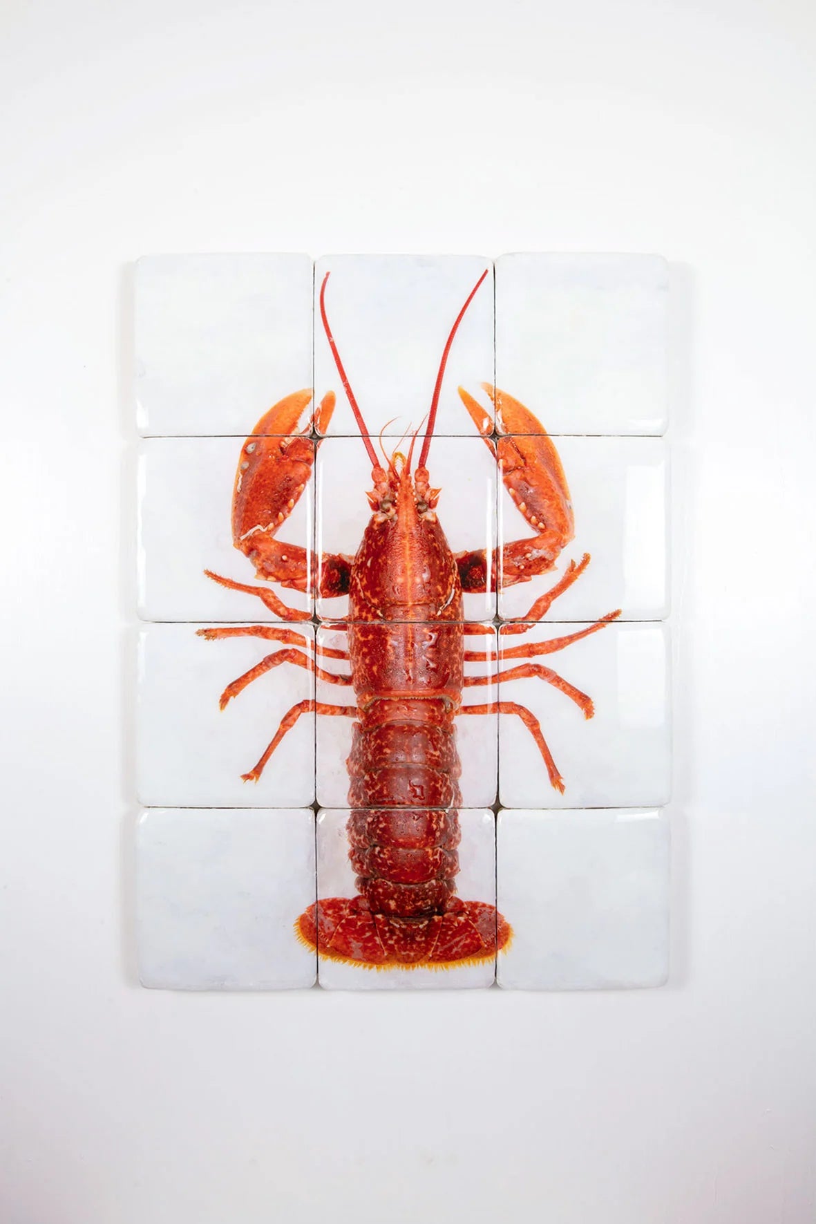 StigerWoods wooden tile Red European Lobster