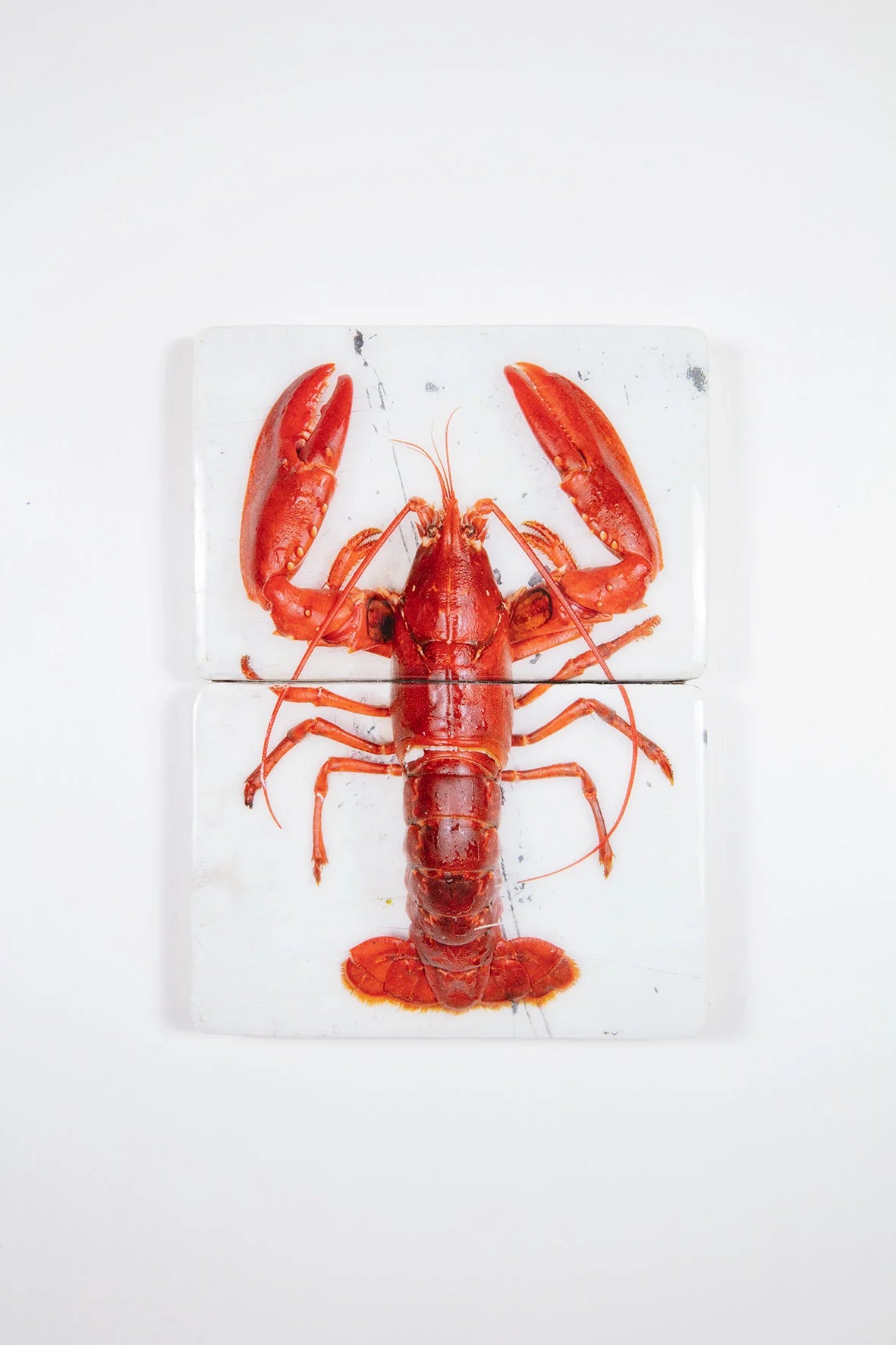 StigerWoods wooden tile Red Oosterschelde Lobster on White Table