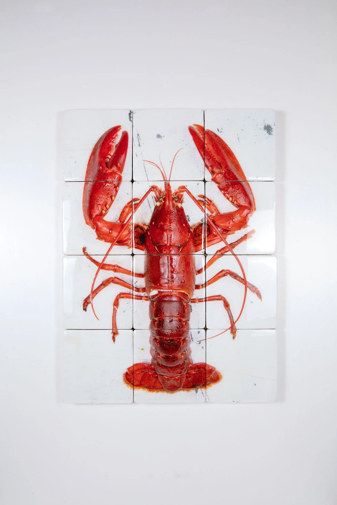 StigerWoods wooden tile Red Oosterschelde Lobster on White Table