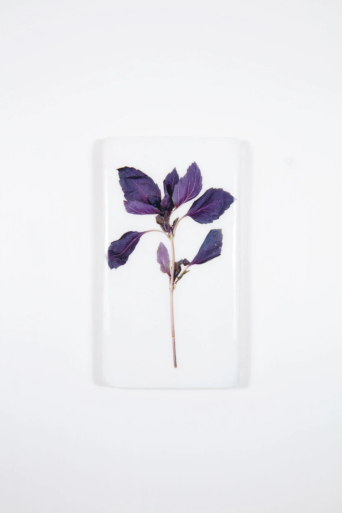 StigerWoods wooden tile Red Basil